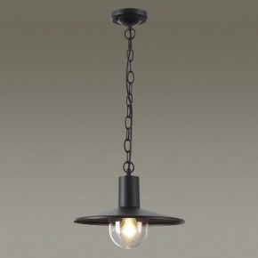 Подвесной светильник Odeon Light Furcadia 4833/1 в Можге - mozhga.mebel24.online | фото 3