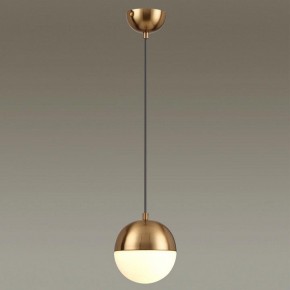 Подвесной светильник Odeon Light Pinga 4960/1 в Можге - mozhga.mebel24.online | фото 2