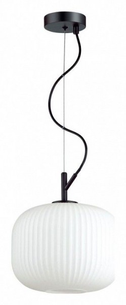 Подвесной светильник Odeon Light Roofi 4753/1 в Можге - mozhga.mebel24.online | фото 2