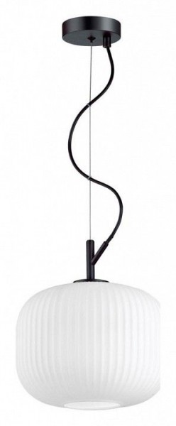 Подвесной светильник Odeon Light Roofi 4753/1 в Можге - mozhga.mebel24.online | фото 3