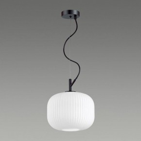 Подвесной светильник Odeon Light Roofi 4753/1 в Можге - mozhga.mebel24.online | фото 4