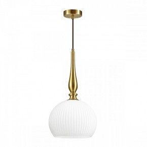 Подвесной светильник Odeon Light Runga 4766/1 в Можге - mozhga.mebel24.online | фото 3