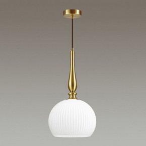 Подвесной светильник Odeon Light Runga 4766/1 в Можге - mozhga.mebel24.online | фото 4