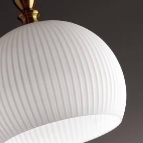 Подвесной светильник Odeon Light Runga 4766/1 в Можге - mozhga.mebel24.online | фото 8