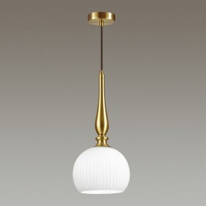 Подвесной светильник Odeon Light Runga 4767/1 в Можге - mozhga.mebel24.online | фото 4