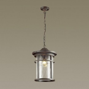 Подвесной светильник Odeon Light Virta 4044/1 в Можге - mozhga.mebel24.online | фото 4