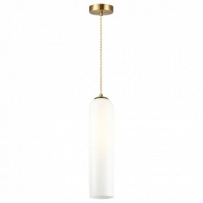 Подвесной светильник Odeon Light Vosti 4642/1 в Можге - mozhga.mebel24.online | фото 2