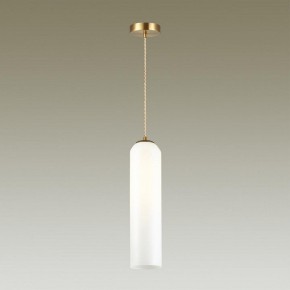 Подвесной светильник Odeon Light Vosti 4642/1 в Можге - mozhga.mebel24.online | фото 4