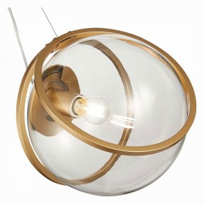 Подвесной светильник ST-Luce Acerra SL1181.313.01 в Можге - mozhga.mebel24.online | фото 2