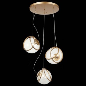 Подвесной светильник ST-Luce Acerra SL1181.313.03 в Можге - mozhga.mebel24.online | фото 3