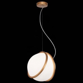 Подвесной светильник ST-Luce Acerra SL1181.353.01 в Можге - mozhga.mebel24.online | фото 4