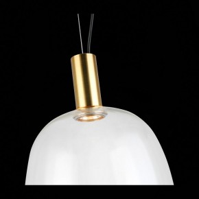 Подвесной светильник ST-Luce Allenore SL1582.313.01 в Можге - mozhga.mebel24.online | фото 9