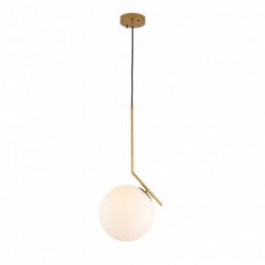 Подвесной светильник ST-Luce Codda SL1148.303.01 в Можге - mozhga.mebel24.online | фото 2
