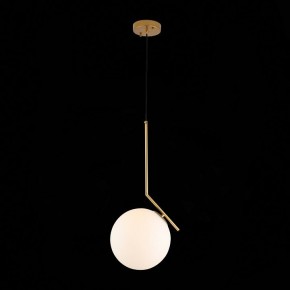 Подвесной светильник ST-Luce Codda SL1148.303.01 в Можге - mozhga.mebel24.online | фото 5