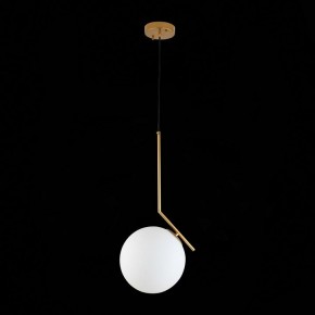 Подвесной светильник ST-Luce Codda SL1148.303.01 в Можге - mozhga.mebel24.online | фото 6