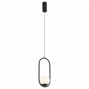 Подвесной светильник ST-Luce Donolo SL395.403.01 в Можге - mozhga.mebel24.online | фото 2