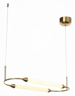 Подвесной светильник ST-Luce Olbia SL6004.313.02 в Можге - mozhga.mebel24.online | фото 4