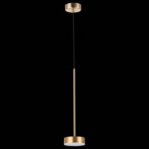 Подвесной светильник ST-Luce Pances SL6000.303.01 в Можге - mozhga.mebel24.online | фото 5