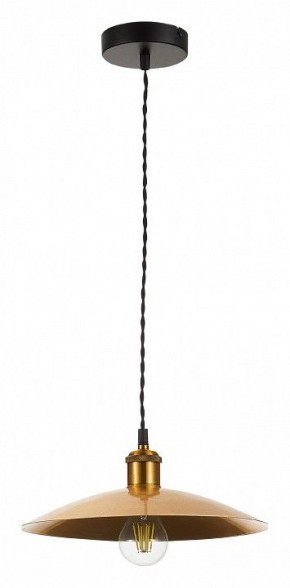 Подвесной светильник ST-Luce Romo SL1017.203.01 в Можге - mozhga.mebel24.online | фото 2
