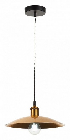 Подвесной светильник ST-Luce Romo SL1017.203.01 в Можге - mozhga.mebel24.online | фото 4
