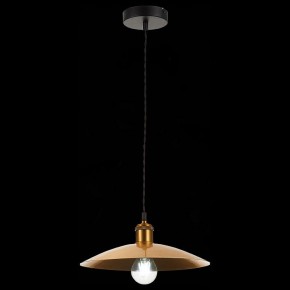 Подвесной светильник ST-Luce Romo SL1017.203.01 в Можге - mozhga.mebel24.online | фото 5