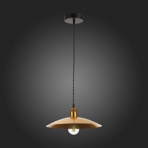 Подвесной светильник ST-Luce Romo SL1017.203.01 в Можге - mozhga.mebel24.online | фото 7