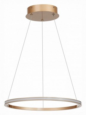Подвесной светильник ST-Luce ST604 OUT ST604.243.22 в Можге - mozhga.mebel24.online | фото 2