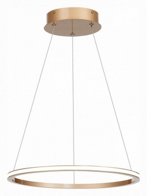 Подвесной светильник ST-Luce ST604 OUT ST604.243.22 в Можге - mozhga.mebel24.online | фото 3