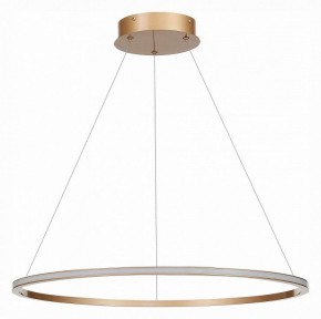 Подвесной светильник ST-Luce ST604 OUT ST604.243.34 в Можге - mozhga.mebel24.online | фото 2