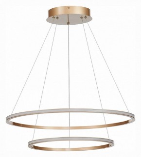 Подвесной светильник ST-Luce ST604 OUT ST604.243.56 в Можге - mozhga.mebel24.online | фото 2