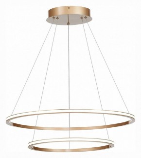 Подвесной светильник ST-Luce ST604 OUT ST604.243.56 в Можге - mozhga.mebel24.online | фото 3