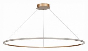 Подвесной светильник ST-Luce ST604 OUT ST604.243.57 в Можге - mozhga.mebel24.online | фото 2