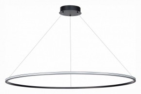 Подвесной светильник ST-Luce ST604 OUT ST604.443.46 в Можге - mozhga.mebel24.online | фото 2