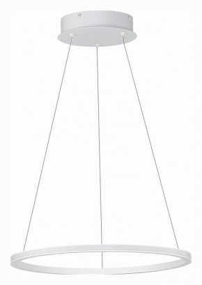 Подвесной светильник ST-Luce ST604 OUT ST604.543.22 в Можге - mozhga.mebel24.online | фото 2