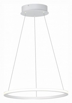 Подвесной светильник ST-Luce ST604 OUT ST604.543.22 в Можге - mozhga.mebel24.online | фото 3