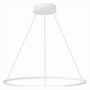 Подвесной светильник ST-Luce ST604 OUT ST604.543.34 в Можге - mozhga.mebel24.online | фото 2