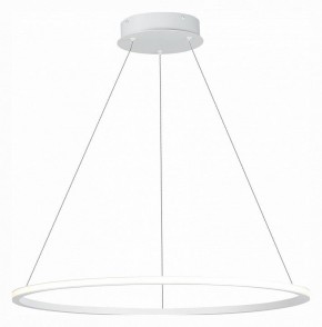 Подвесной светильник ST-Luce ST604 OUT ST604.543.34 в Можге - mozhga.mebel24.online | фото 3