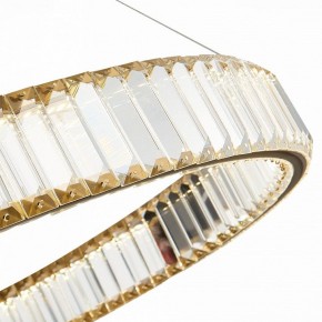 Подвесной светильник ST-Luce Tivoli SL1622.313.01 в Можге - mozhga.mebel24.online | фото 4