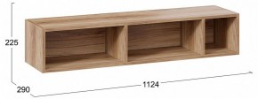 Полка навесная ТД-102.28 в Можге - mozhga.mebel24.online | фото 9