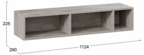 Полка навесная ТД-102.28 в Можге - mozhga.mebel24.online | фото 8