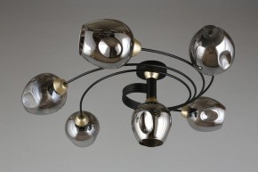 Потолочная люстра Aployt Flor APL.611.17.06 в Можге - mozhga.mebel24.online | фото 1