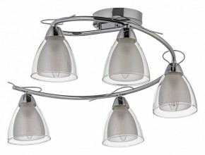 Потолочная люстра Arti Lampadari Paola, Tavenna Nickel Paola E 1.1.5 N в Можге - mozhga.mebel24.online | фото
