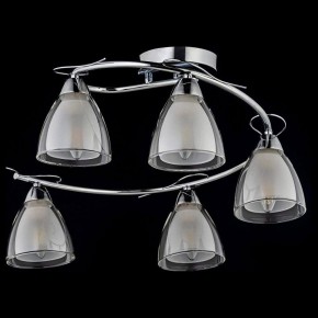 Потолочная люстра Arti Lampadari Paola, Tavenna Nickel Paola E 1.1.5 N в Можге - mozhga.mebel24.online | фото 2
