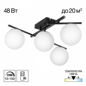 Потолочная люстра Citilux Dorsy CL223142 в Можге - mozhga.mebel24.online | фото 9