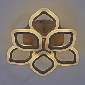 Потолочная люстра Escada Ella 10212/6LED Coffee в Можге - mozhga.mebel24.online | фото 4
