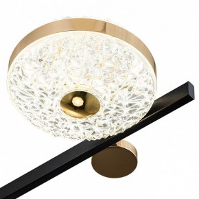 Потолочная люстра Escada Liberta 10219/6LED в Можге - mozhga.mebel24.online | фото 6