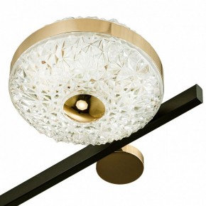 Потолочная люстра Escada Liberta 10219/6LED в Можге - mozhga.mebel24.online | фото 7