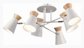 Потолочная люстра EVOLUCE Alfeo SLE1252-502-06 в Можге - mozhga.mebel24.online | фото