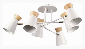 Потолочная люстра EVOLUCE Alfeo SLE1252-502-06 в Можге - mozhga.mebel24.online | фото 2