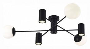 Потолочная люстра EVOLUCE Raito SLE1105-402-06 в Можге - mozhga.mebel24.online | фото